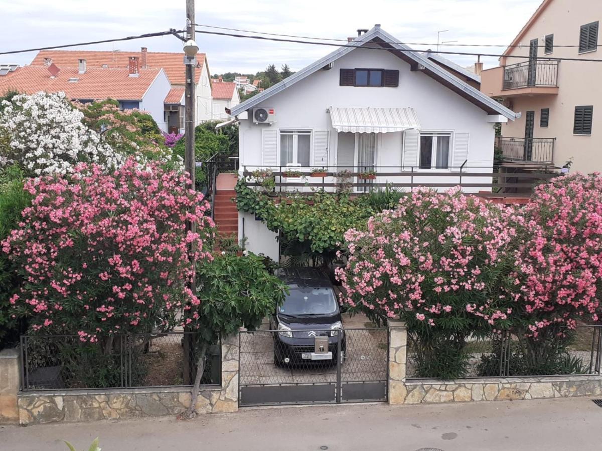 Apartments Dominik 扎达尔 外观 照片
